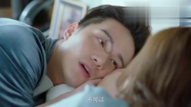 彼得比尔特379拼图